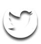 twitter icon